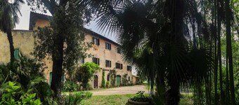 Olive Tree Suite Apartment