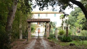 A gated entrance to a building with a brick archway, surrounded by lush greenery and trees. - Olive Tree Suite Apartment (Piombino (LI))