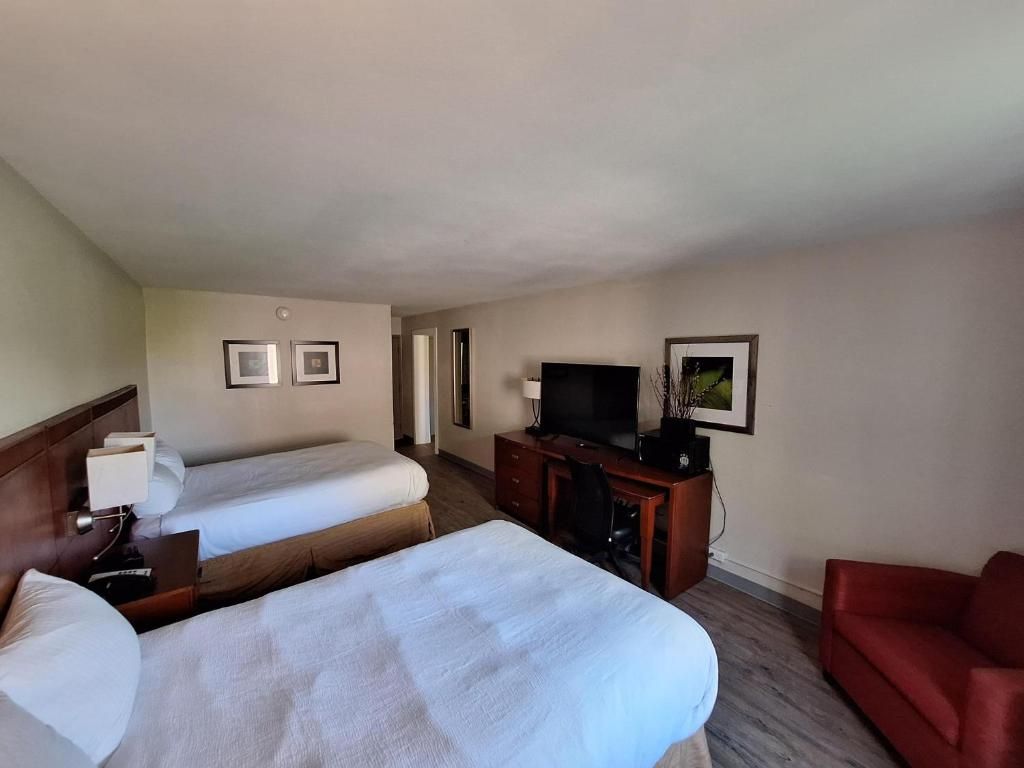 Habitación de hotel con dos camas, televisión, escritorio y sofá rojo.