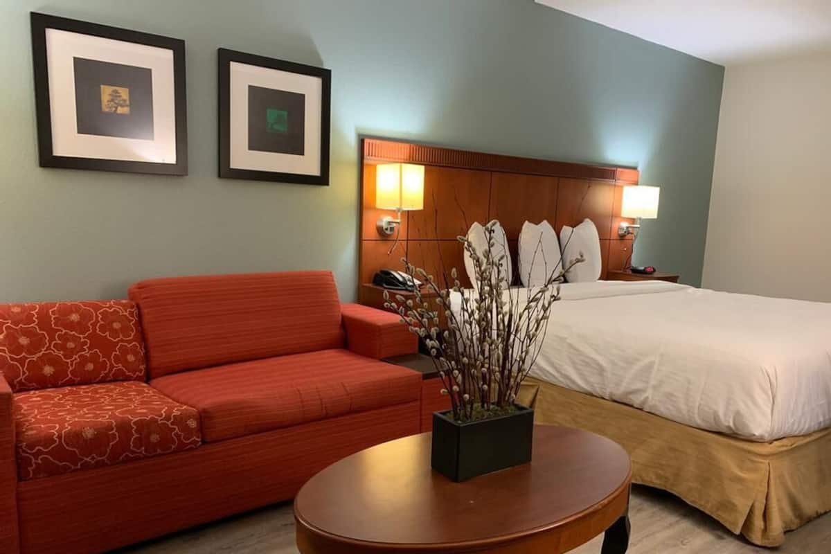 Ein Hotelzimmer mit einem Bett, einem roten Sofa, einem kleinen runden Tisch mit einer Pflanze und zwei gerahmten Bildern an der Wand.