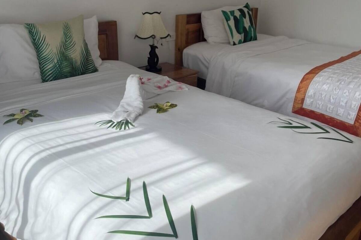 Une chambre d’hôtel avec deux lits, chacun agrémenté de draps blancs et de motifs représentant des feuilles vertes. Une table de chevet avec une lampe se trouve entre les deux lits.