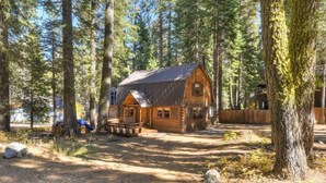 A rustic cabin with a metal roof, surrounded by tall trees, and a gravel path leading to it. - Enchanted Woods Cabin (Homewood)