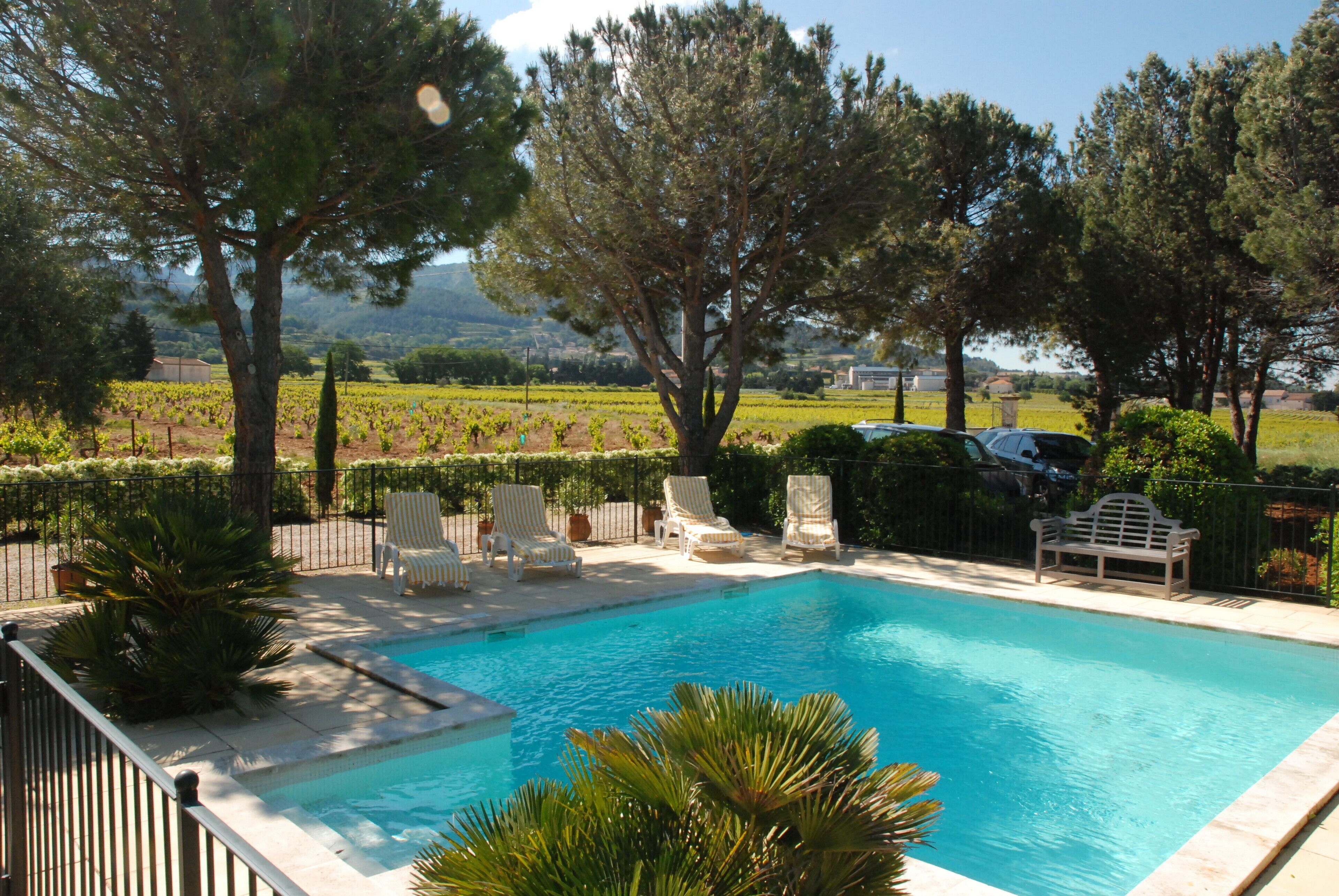 Une piscine entourée d’arbres, avec des chaises longues et un banc, et offrant une vue sur un vignoble.