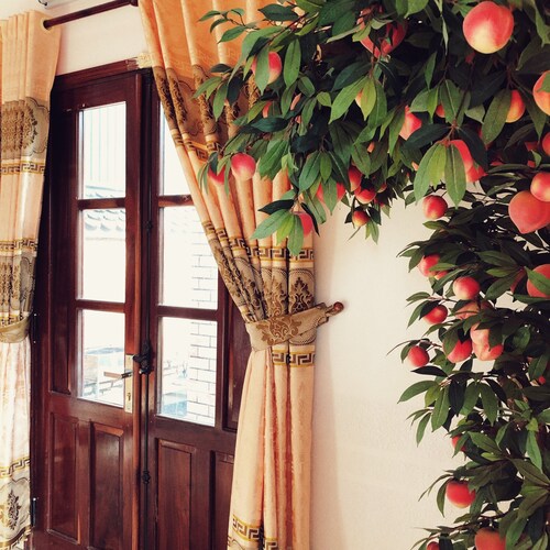 Bach Diep House - Villa entière - Équipement complet