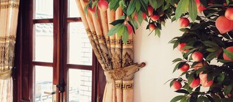 Bach Diep House - Koko huvila - Koko varustus