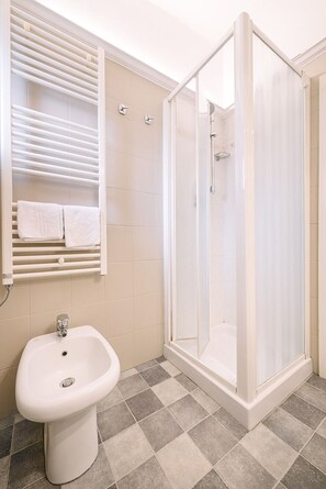 Shower, hair dryer, bidet, towels