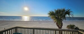 On the beach, beach towels - Spectacular Beachfront Townhouse Condo PELICANS POINTE (Indian Shores)