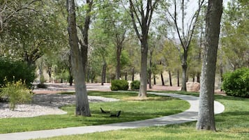 Property grounds