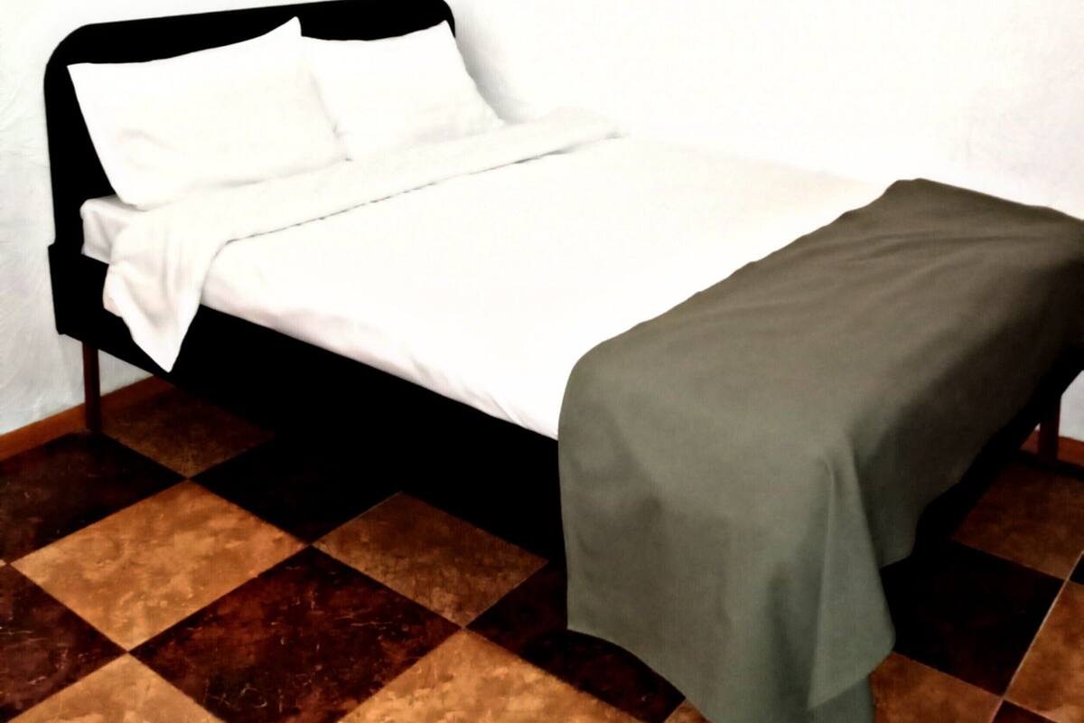 Hypo-allergenic bedding, down duvets, desk, laptop workspace