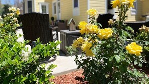 A yellow house with a garden in front. - Stunning Historic Home in Kanab, Utah. Close proximity to Zion and Bryce Canyon. Incredible stargazing opportunities! (Kanab)