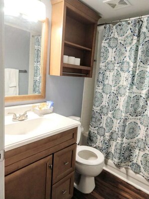 Combined shower/tub, hair dryer, towels, soap - Desirable Condo in Central Raleigh (Raleigh)