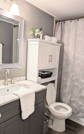 Ensemble baignoire-douche, séchoir à cheveux, serviettes fournies, savon