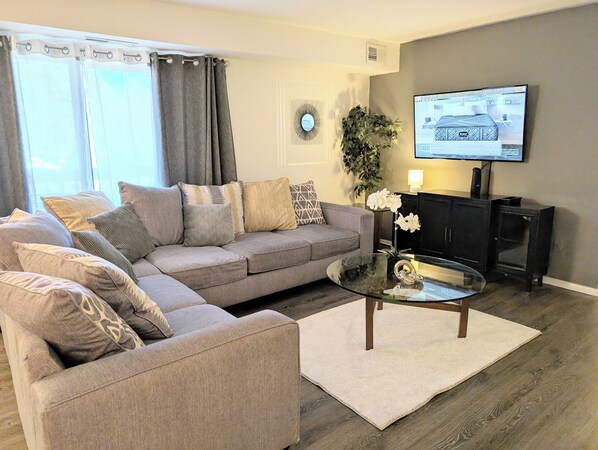 Televisión, Netflix y servicios de streaming