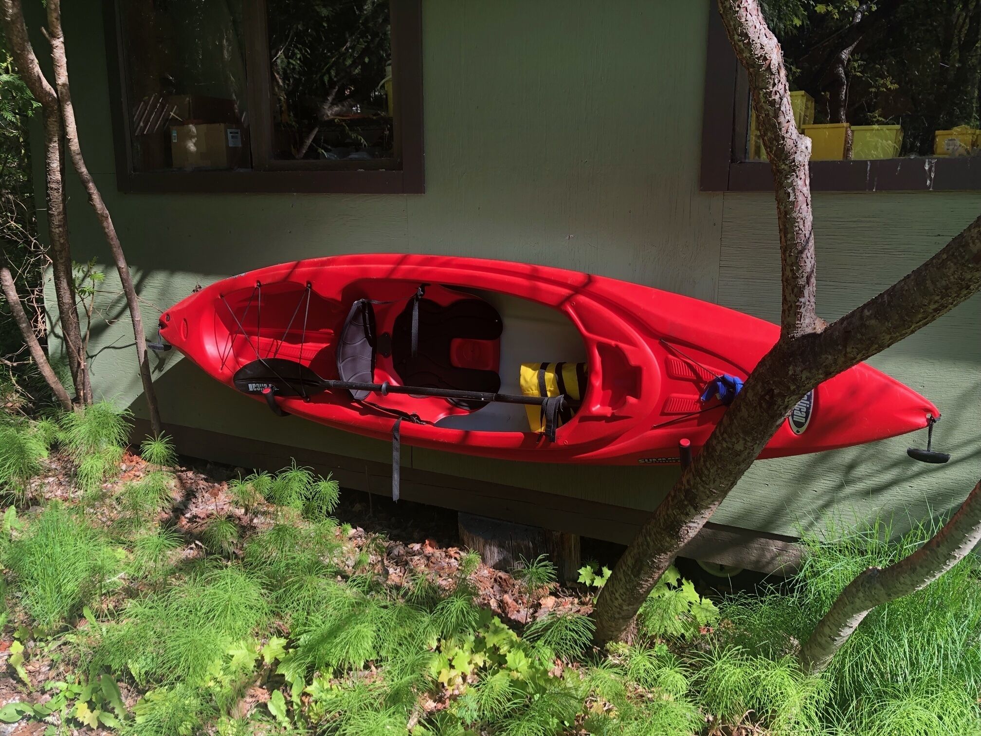 A red kayak with a black seat and a yellow life jacket, secured to a tree in a wooded area.