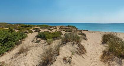 Villa Oasi Marina by BarbarHouse