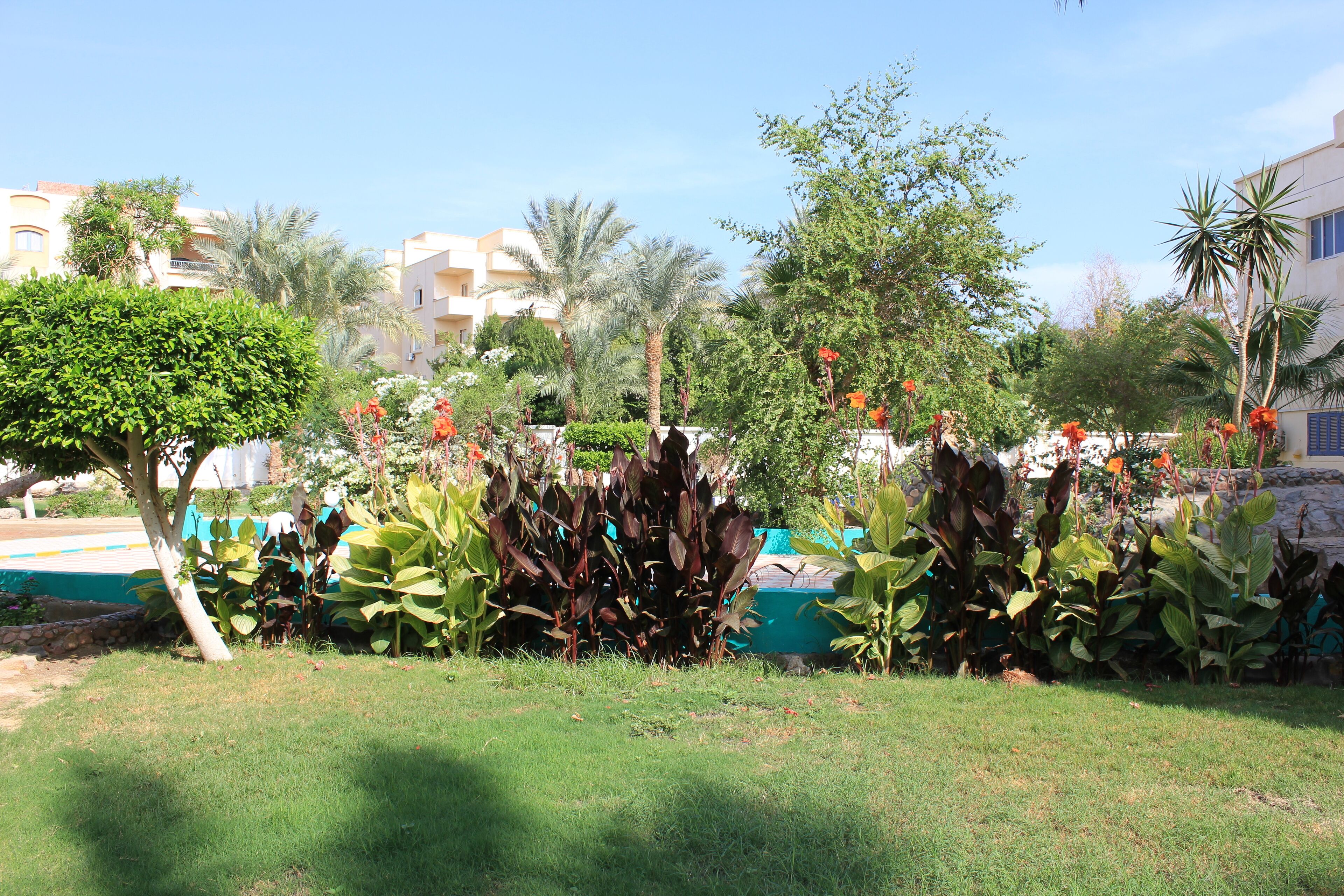 Foto - saint marea hotel