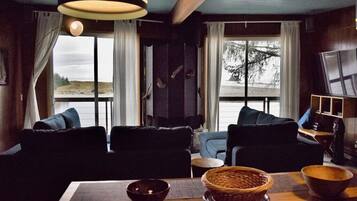 TV connectée, cheminée, lecteur de DVD, livres