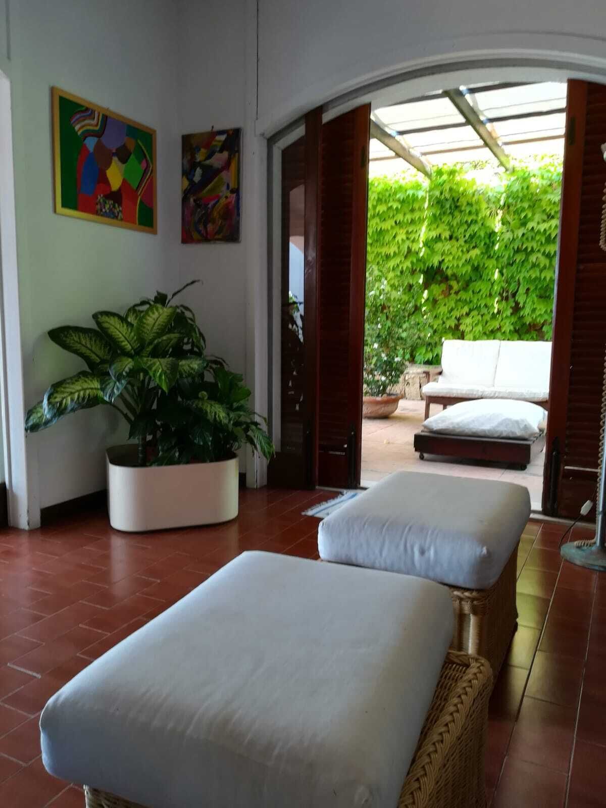 Una habitació amb dues zones d'seure amb seients blans, un gran vas de planta i obra d'art a les parets.