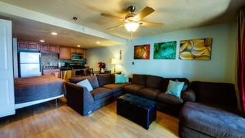 TV, fireplace, DVD player, books