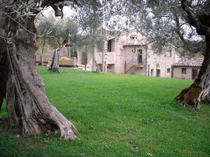 Parco della struttura