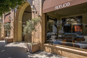 Exterior detail - Urban Chic in Lower Pacific Heights (San Francisco)