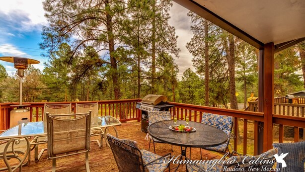 Un patio techado al aire libre con una parrilla, asientos y vistas a un bosque.