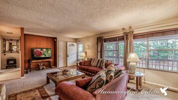 Televisor, llar de foc i reproductor de DVD