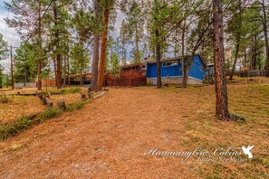 Une cabane à l’extérieur bleu, entourée de grands pins, située dans une zone boisée.