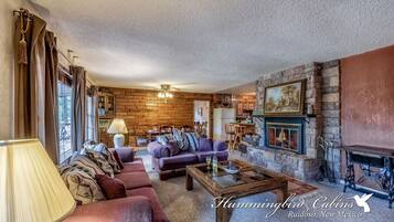 Televisión, chimenea y reproductor de DVD