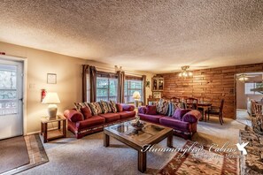 Télévision, cheminée, lecteur de DVD