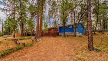 Eine Holzhütte mit blauer Fassade, umgeben von hohen Kiefern in einem bewaldeten Gebiet.