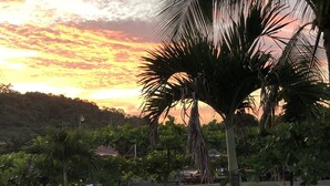 A basketball court surrounded by palm trees and greenery, with a sunset in the background. - Hostería Pacific Stone (Tachina)