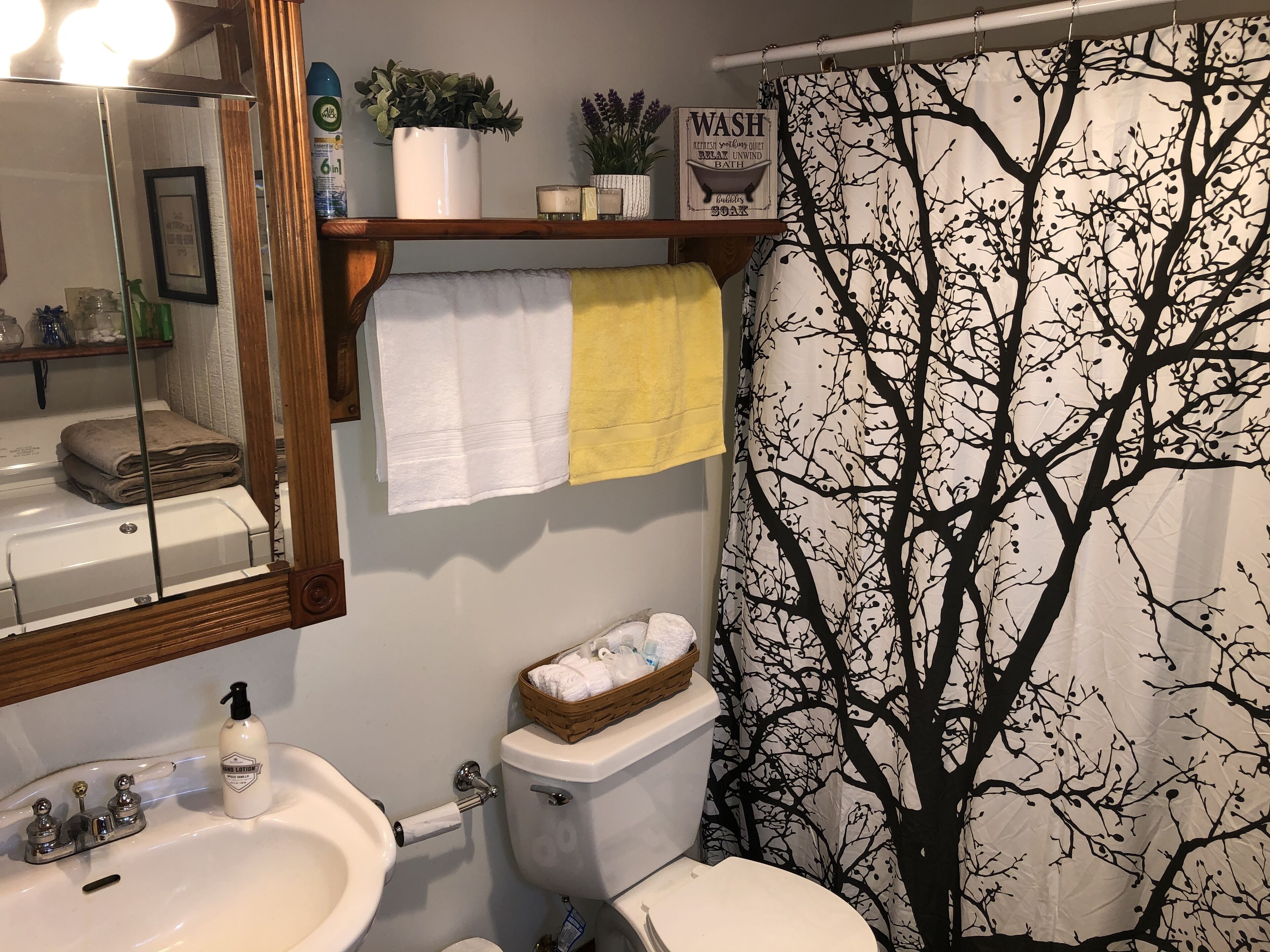 Combined shower/tub, hair dryer, towels, soap