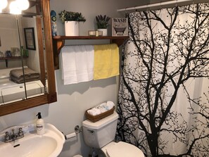 Combined shower/bathtub, hair dryer, towels, soap