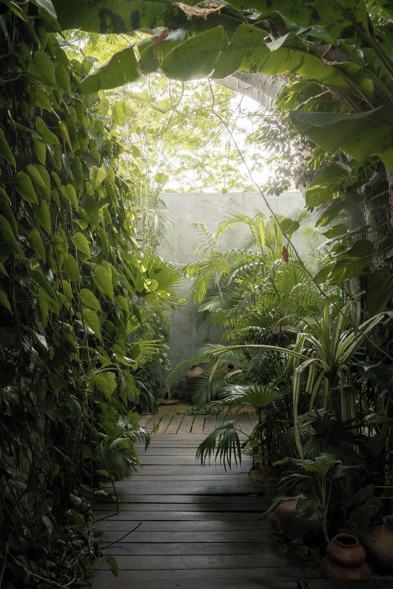 Foto - Hotel Casa Hormiga