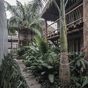 Garden - Casa Hormiga (Bacalar)