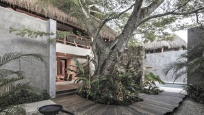 A modern building with a thatched roof, surrounded by tropical vegetation and a wooden deck leading to a pool area. - Casa Hormiga (Bacalar)