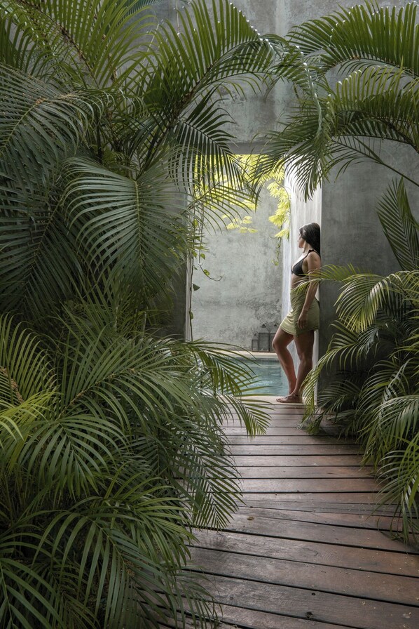 Property grounds - Casa Hormiga (Bacalar)