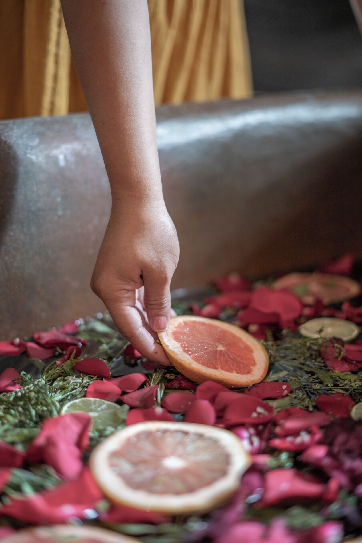 Foto - Hotel Casa Hormiga