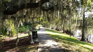 A paved walkway lined with trees covered in Spanish moss, leading to a bench and a small park area. - Perfect Disney/Golf Vacation Condo (Davenport)