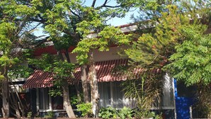 A building with a red and white striped awning, surrounded by trees and plants.