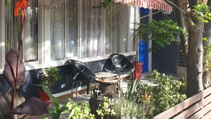 A covered outdoor seating area with a table and chairs, surrounded by potted plants and a large window.