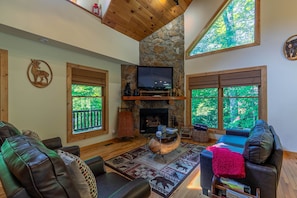 TV, fireplace, ping pong, books - Cabin Cove- Cabin between Sugar and Beech Mtns, hot tub, game tables, fire pit, yard, pets (Banner Elk)