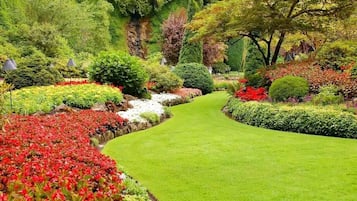 Jardines del alojamiento