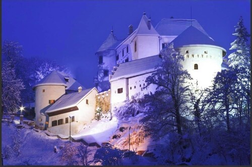 Luxury SUNNY Park Villa NATURE Oasis Free WiFi BIKES