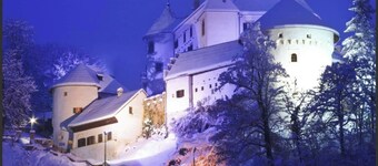 Luxury SUNNY Park Villa NATURE Oasis Free WiFi BIKES