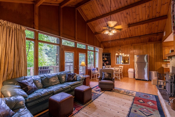 TV, fireplace, video library