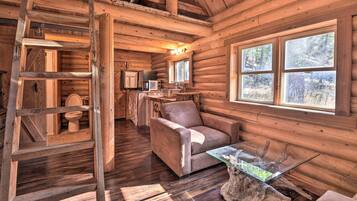 TV, fireplace, DVD player, offices