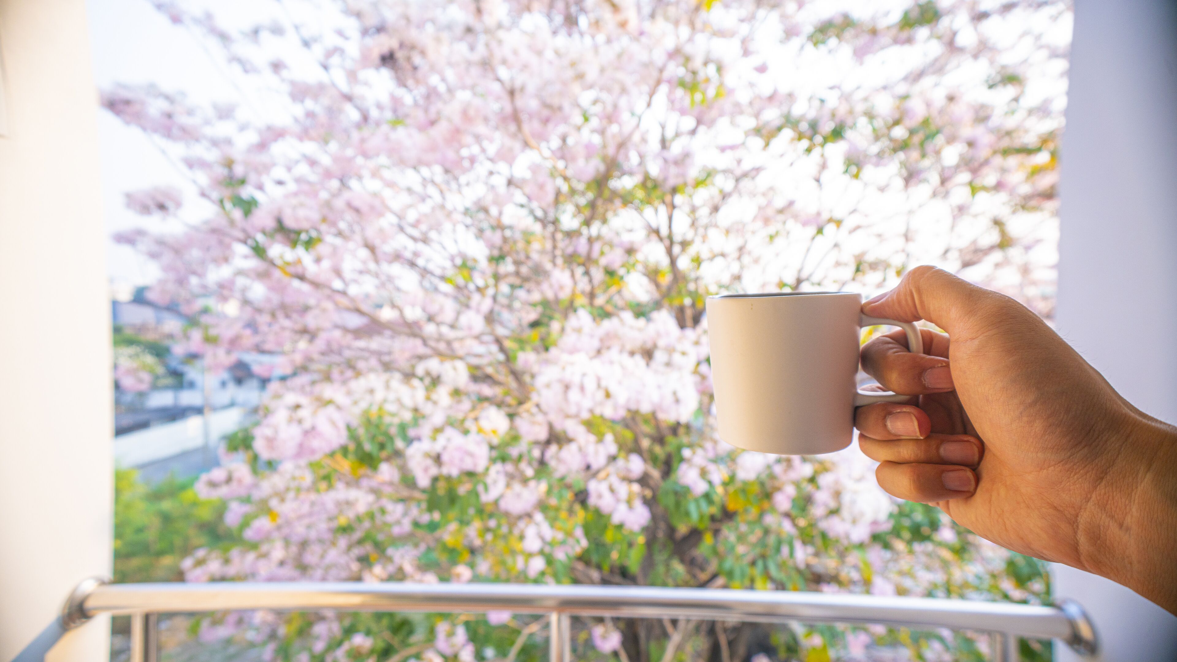 A hand holding a mug, with a balcony railing and cherry blossoms in the background.