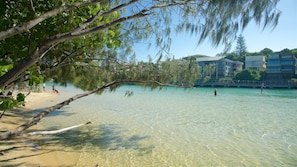 A beach with clear water, a tree branch overhanging, and buildings in the background.